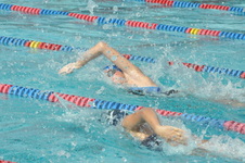 Enlarge photo 240