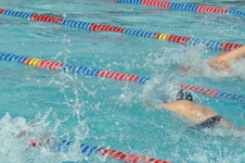 Enlarge photo 241