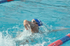 Enlarge photo 242