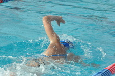 Enlarge photo 243