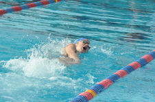 Enlarge photo 245