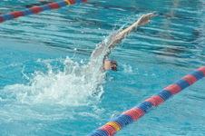 Enlarge photo 246