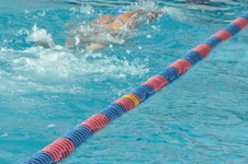 Enlarge photo 247