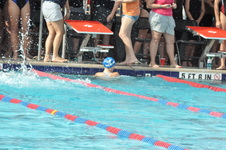 Enlarge photo 248