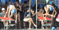 Enlarge photo 252