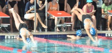 Enlarge photo 254