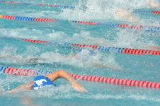 Enlarge photo 256