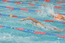 Enlarge photo 258