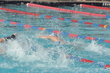 Enlarge photo 260