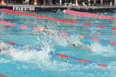 Enlarge photo 261