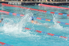 Enlarge photo 262