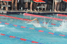 Enlarge photo 264