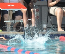 Enlarge photo 269