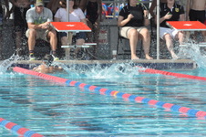 Enlarge photo 270