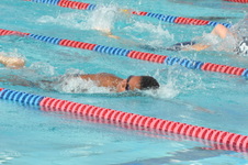 Enlarge photo 271