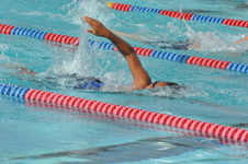 Enlarge photo 272