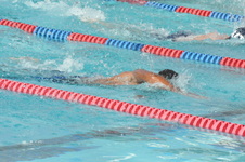 Enlarge photo 273