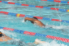 Enlarge photo 275