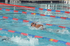 Enlarge photo 276