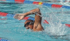 Enlarge photo 277