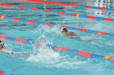 Enlarge photo 278