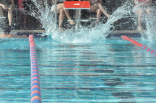 Enlarge photo 286