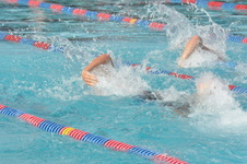 Enlarge photo 287