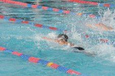 Enlarge photo 288