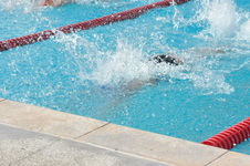 Enlarge photo 294