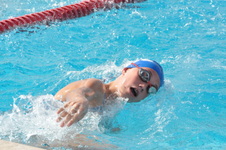 Enlarge photo 298
