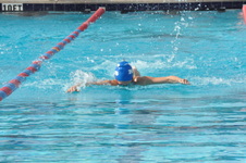 Enlarge photo 307