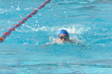 Enlarge photo 308
