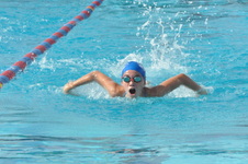 Enlarge photo 309