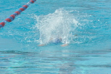 Enlarge photo 311