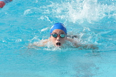 Enlarge photo 312