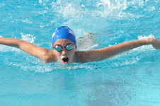 Enlarge photo 313