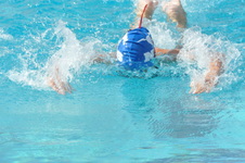 Enlarge photo 314