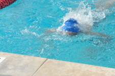 Enlarge photo 315
