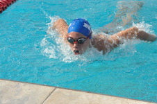 Enlarge photo 316