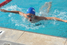 Enlarge photo 317