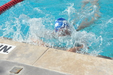 Enlarge photo 318