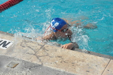Enlarge photo 319