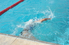 Enlarge photo 323