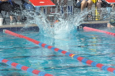 Enlarge photo 329