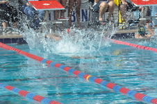 Enlarge photo 330