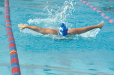Enlarge photo 331