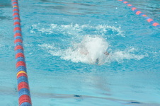 Enlarge photo 332