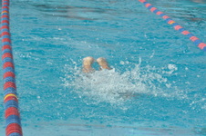 Enlarge photo 333