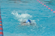 Enlarge photo 334