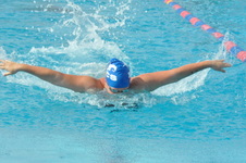 Enlarge photo 336